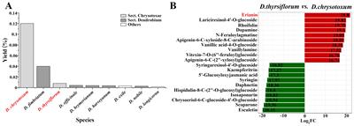 Integrated metabolomic and transcriptomic analyses of Dendrobium chrysotoxum and D. thyrsiflorum reveal the biosynthetic pathway from gigantol to erianin